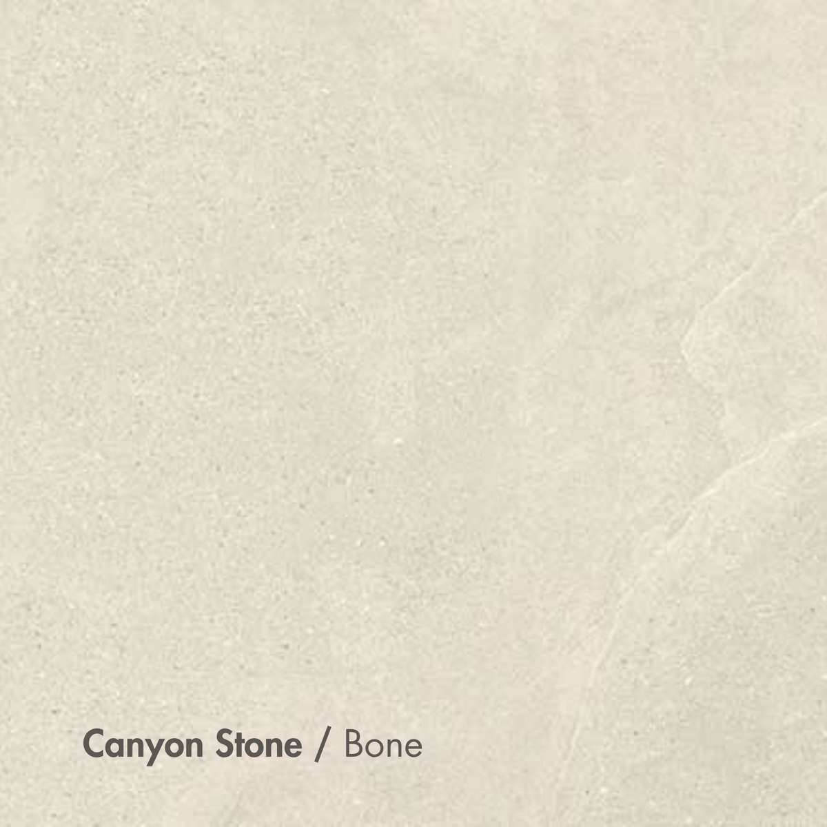 Canyon Stone Bone
