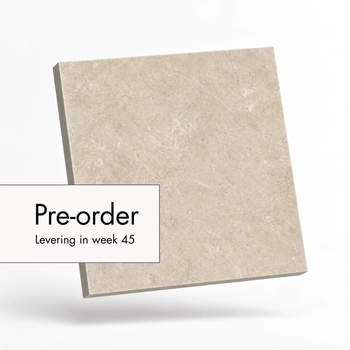 Fossil Stone Dune – Sample
