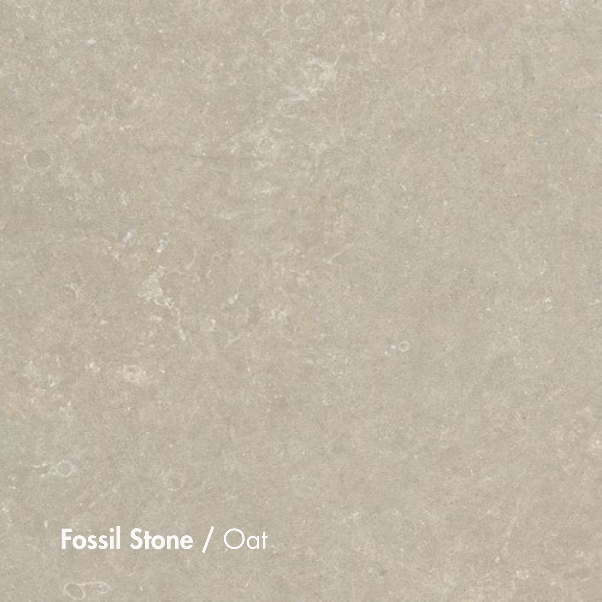 Fossil Stone Oat