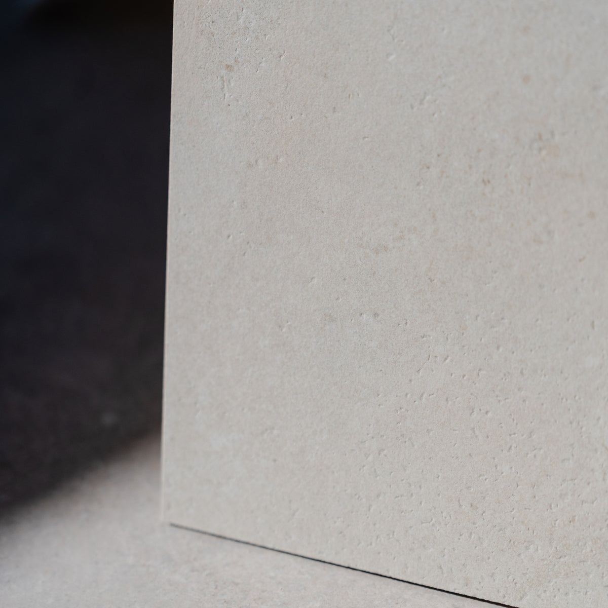 Canyon Stone Bone