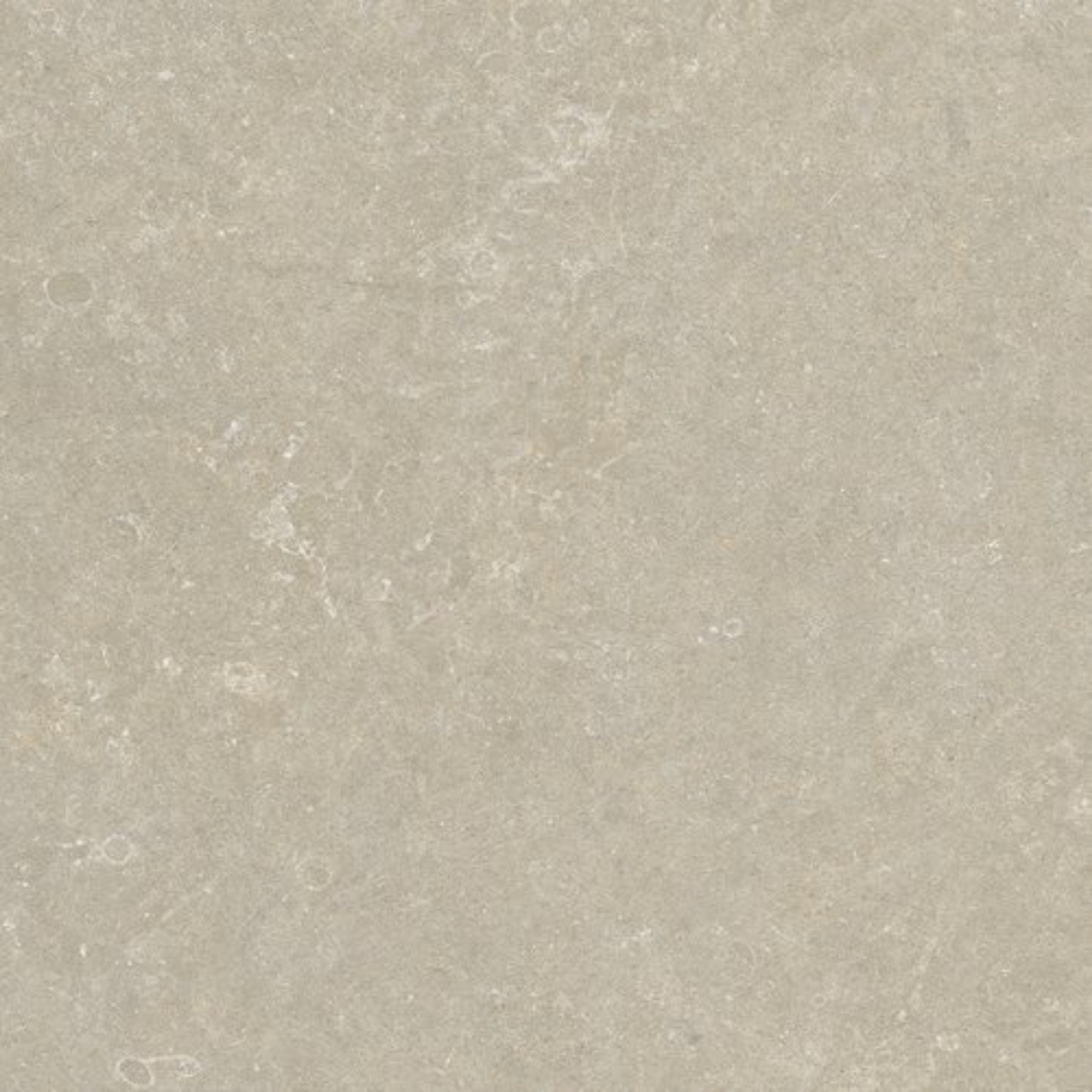 Fossil Stone Oat