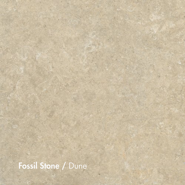 Fossil Stone Dune