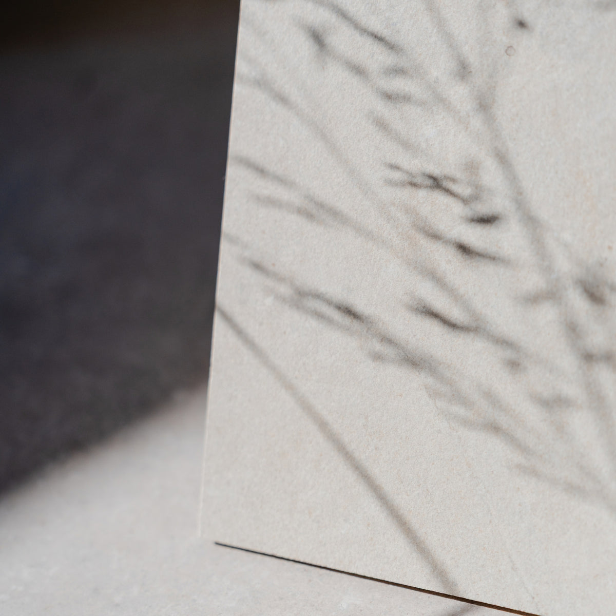 Fossil Stone Oat