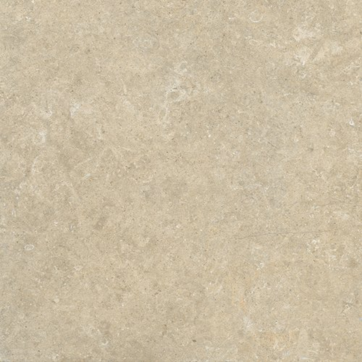 Fossil Stone Dune